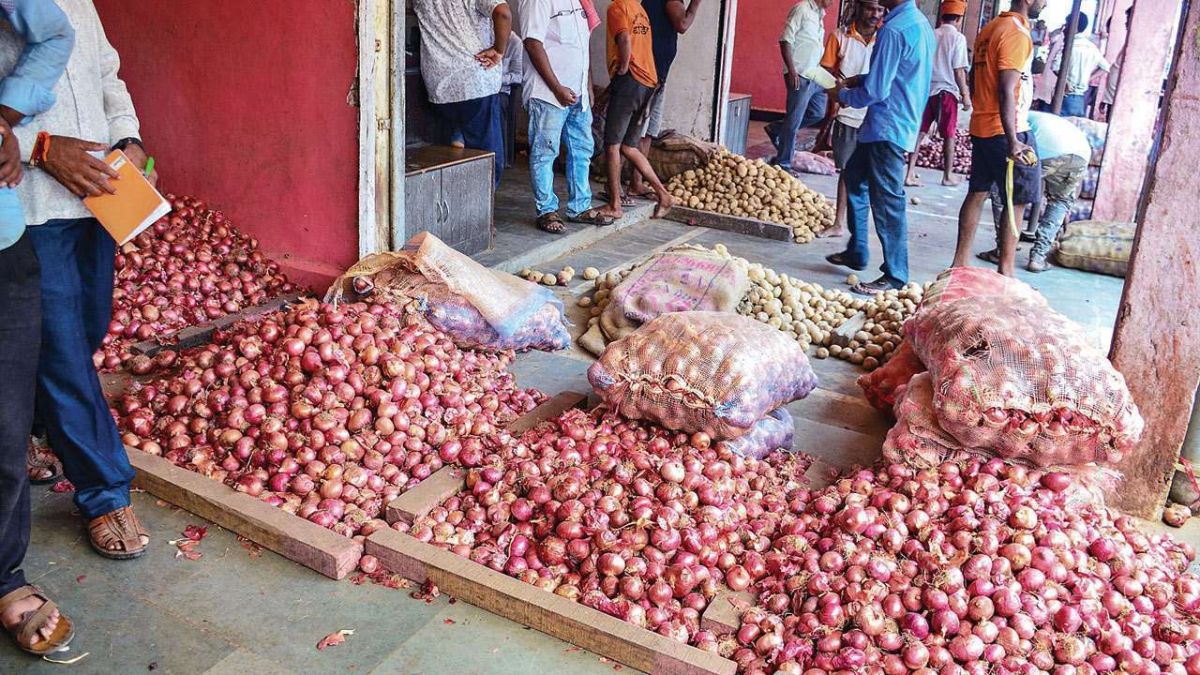 Onion Price Today