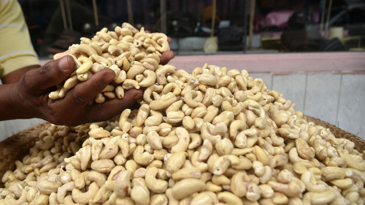 cheapest cashew in india