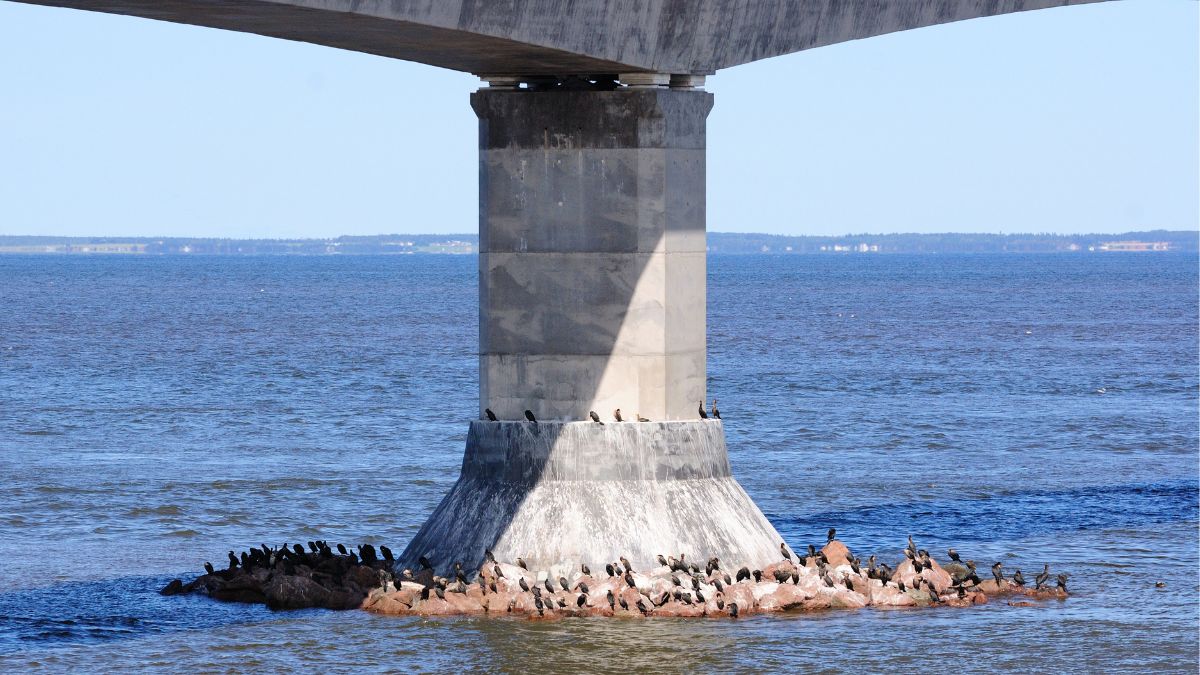 Bridge pillar On Sea