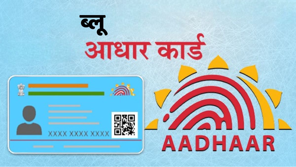 Blue Aadhaar Card